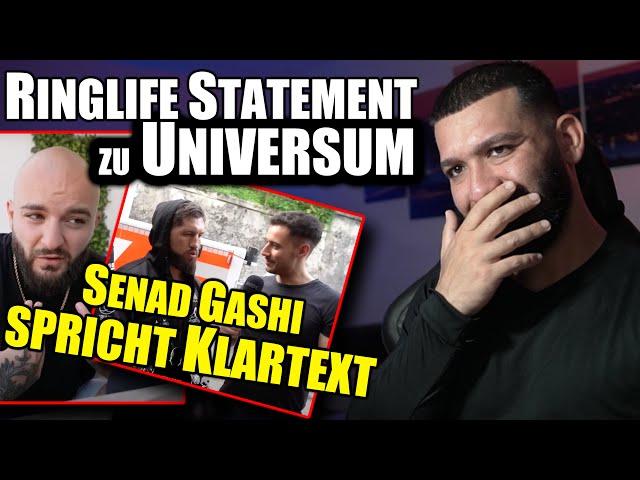 RINGLIFE & SENAD GASHI 100% STATEMENT!  MEINE MEINUNG & ANALYSE