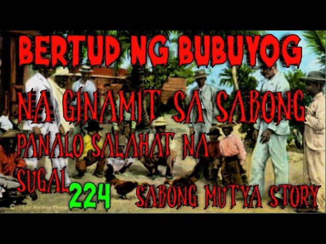 BERTUD NG BUBUYOG NAGINAMIT SA SABONG MABISANG PAMPASWERTI SASUGAL STORY 224