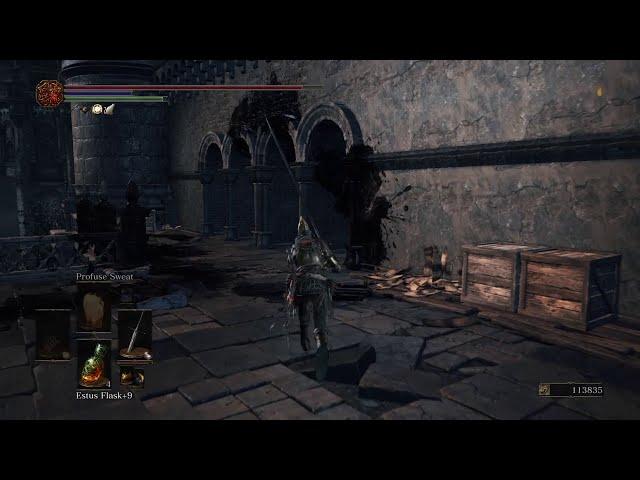 DARK SOULS™ III Dragon Barracks - Best/Easiest way to kill both dragons