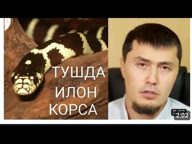 Tushda ilon ko'rsa Umar qori Tush tabiri Haqida Умар Кори Тушда илон корса