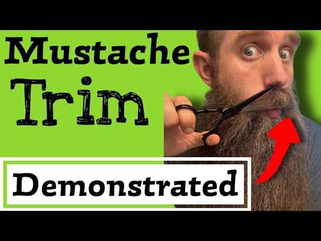 The Perfect Mustache Trim - Demonstrated!