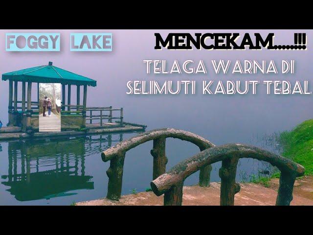 MISTERI DI BALIK TELAGA WARNA YANG MENAKJUBKAN || FOGGY LAKE