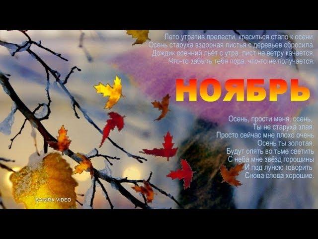 Катя Огонёк - НОЯБРЬ  