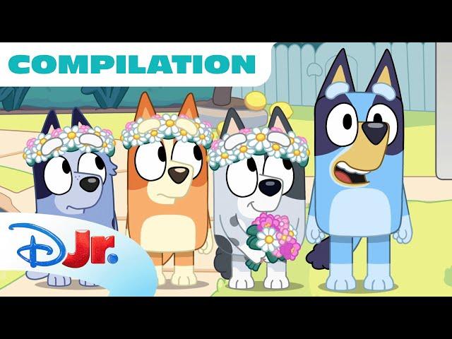 Bluey Compilation | Best of Bluey Season 3 | 90 Minutes | @disneyjunior x @BlueyOfficialChannel