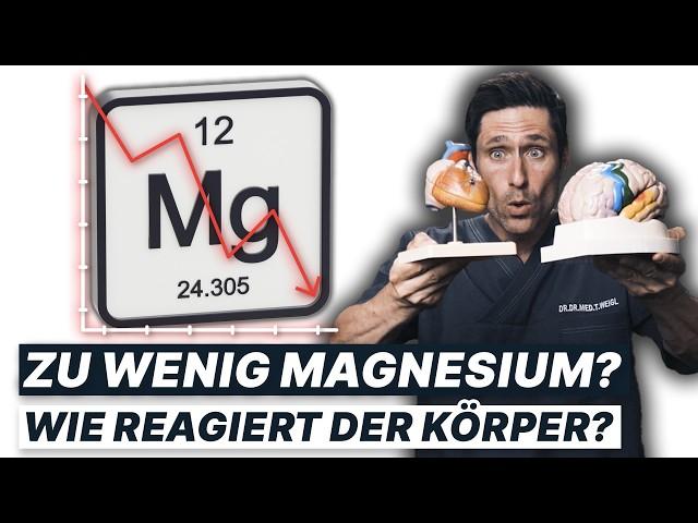 Magnesiummangel frühzeitig erkennen: 5 Warnzeichen, die Du kennen solltest! (wichtig)