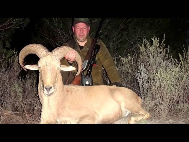 ГОРНАЯ ОХОТА В ИСПАНИИ, охота на барана Barbary Sheep (Hunting in Spain 2012)