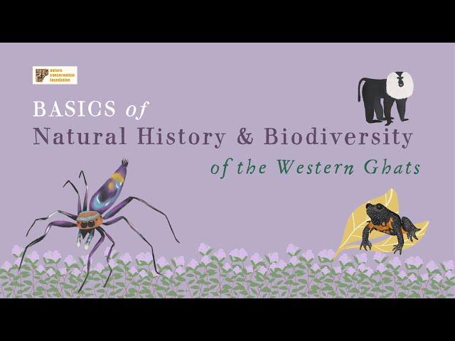 Basics of Natural History and Biodiversity of the Western Ghats