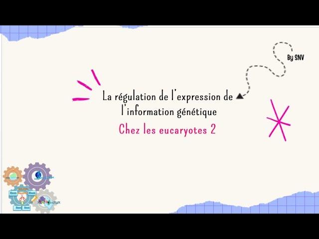 La régulation de l'expression de l'information génétique chez les eucaryotes