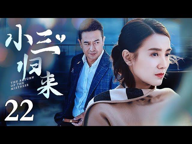 【2021爆款爱情电视剧】小三归来 22｜从一而终的张嘉译，激情上演不但结了两次婚，还有了一个非婚生女儿（张嘉译、左小青、宋佳主演）