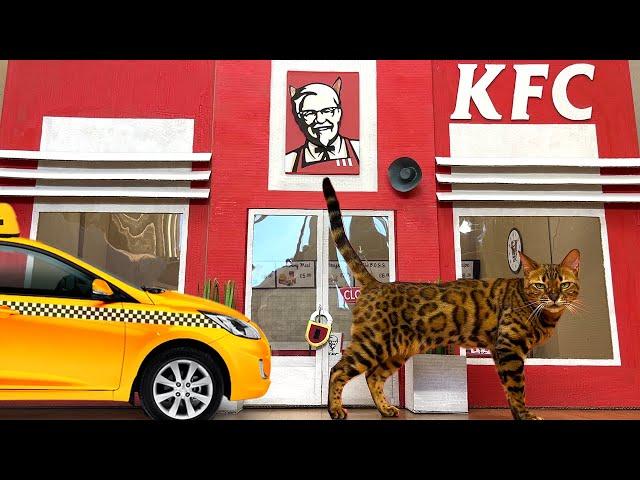 ЕСЛИ БЫ КОТИКИ РАБОТАЛИ В KFC