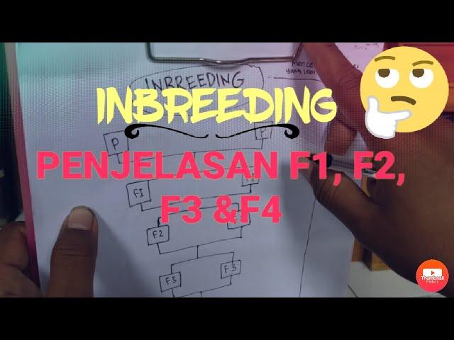 TEORI INBREEDING | TEKNIK INBREEDING | PENJELASAN F1,F2,F3 &F4