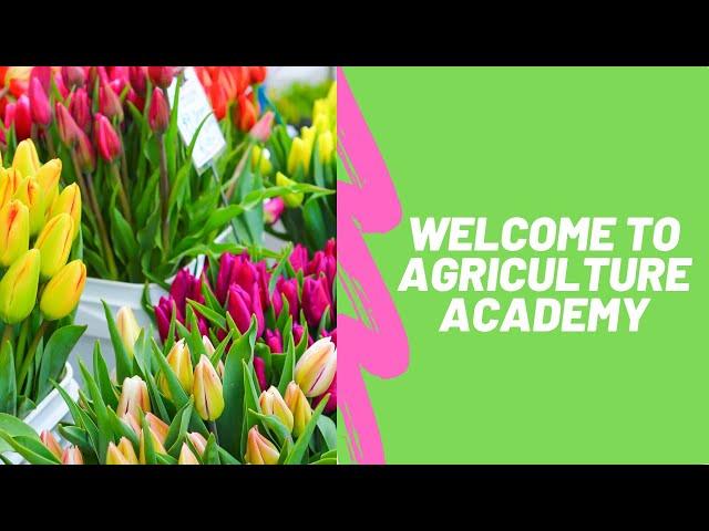 Welcome to Agriculture Academy