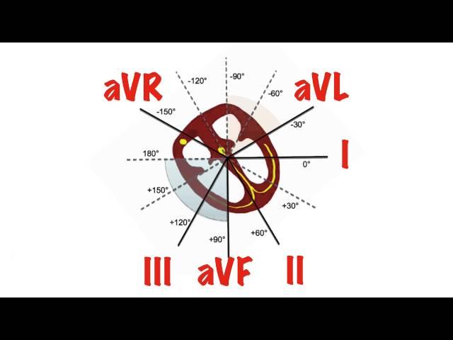 Cardiac Axis in 5 min