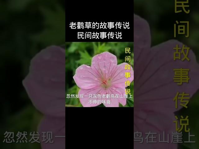 #歌曲欣赏#春回大地万物复苏#文字音乐视频制作@快手健康O3xhwysdvigiagxi@快手热点O3xddgkd5fav5if9@快手创作者中心O3xrgtux2ehryffe 1679324111