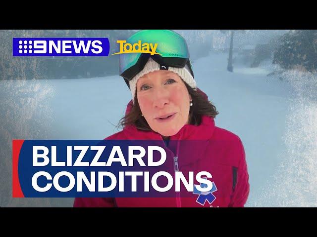 Polar blast to hit Australia's east coast, snow predicted up to Queensland | 9 News Australia