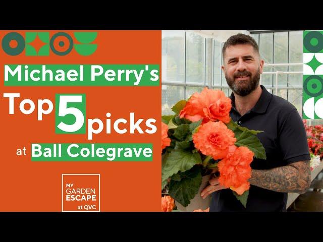 Michael Perry's Top 5 Picks at Ball Colegrave! | QVCUK