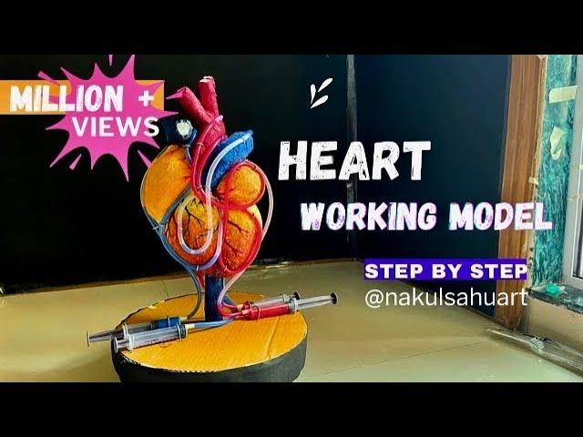 Biology Project _ Heart working model _3d model #science #biology #medical project_NakulSahuArt