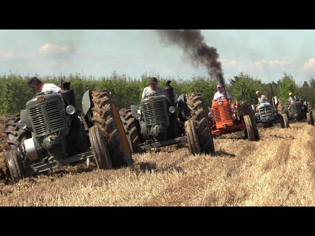 Old tractors plowing | Hot bulb Landini testacalda, FIAT OM, Porsche, Fordson, Lamborghini aratura