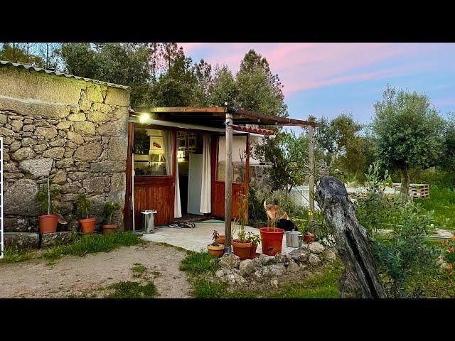 Working on our homestead ready for fire season 