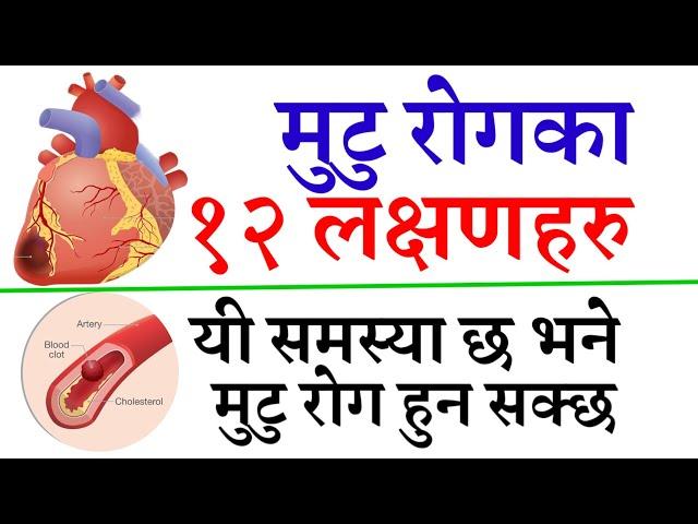 मुटु रोगका १२ लक्षणहरु || 12 SYMPTOMS OF HEART DISEASE || यी लक्षण देखिए मुटु रोग हुन् सक्छ #heart,