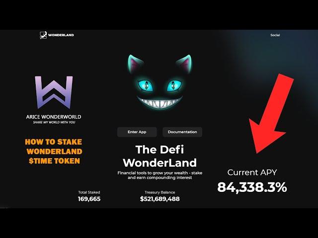 80000%+ APY How to Stake Wonderland $TIME Token for Dummies - Finance with Alice