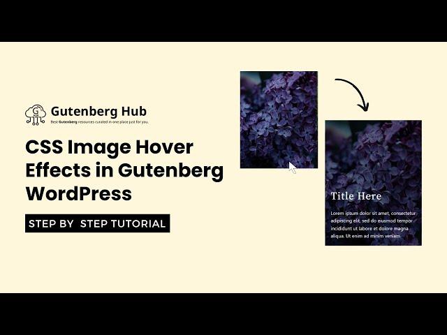 CSS Image Hover Effects in Gutenberg WordPress | WordPress design Tips and Tricks