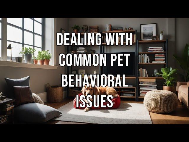 Dealing with Common Pet Behavioral Issues