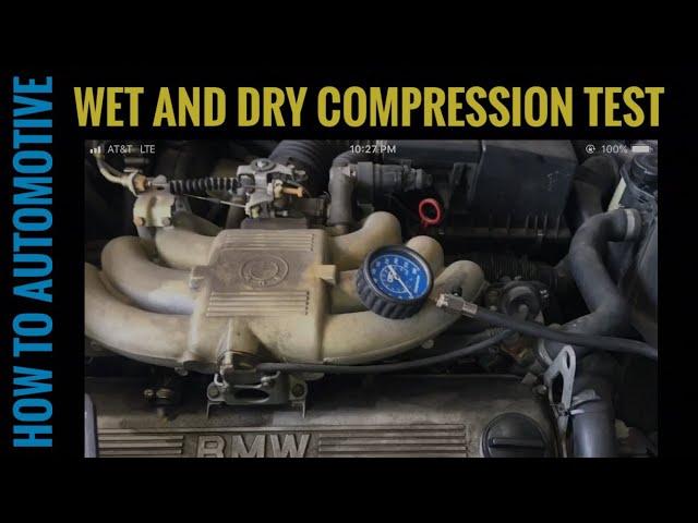 How To Perform A Wet And Dry Compression Test And How To Read The Results