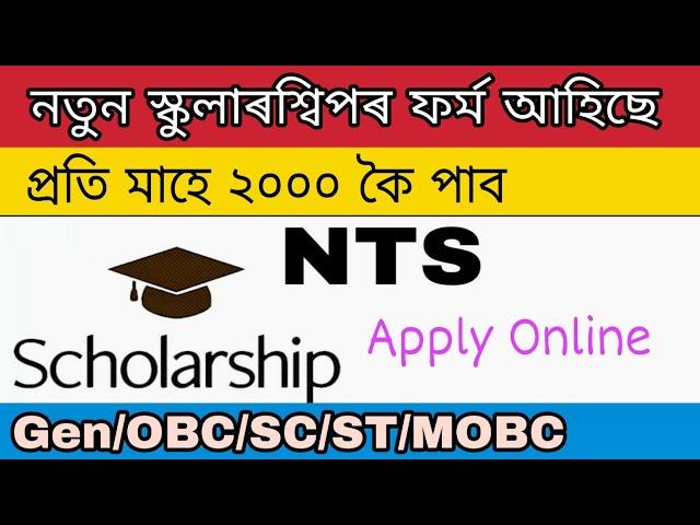 National Talent Search NTS Examination 2020 | Scholarship Application form |