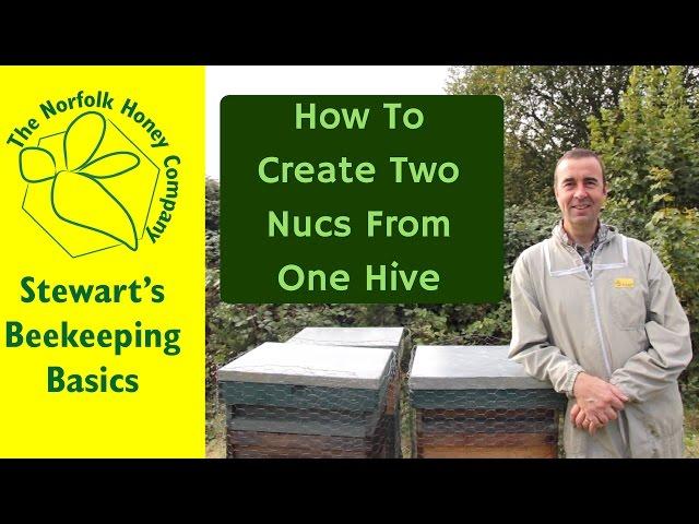 How to Split a Beehive into 2 Nucs and Parent Colony #Beekeeping Basics  - The Norfolk Honey Co