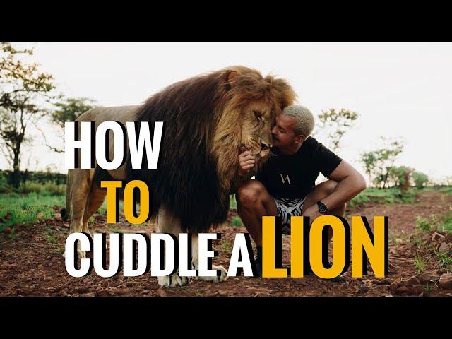 How to cuddle a Lion! - Dean Schneider