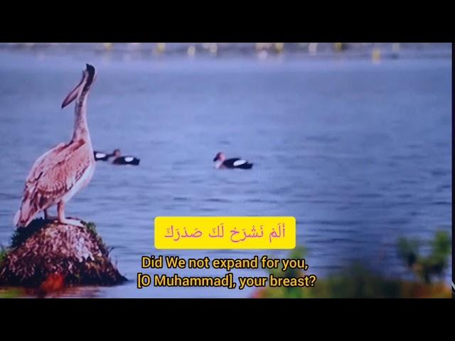 Surah Al sharh _ Raad Al Kurdi