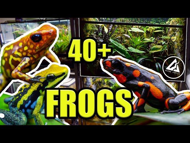 RAREST FROGS IN THE COUNTRY!! | Frog Room Tour 2021!!