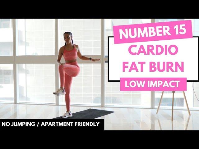 NO JUMPING CARDIO WORKOUT - LOW IMPACT HIIT - No.15