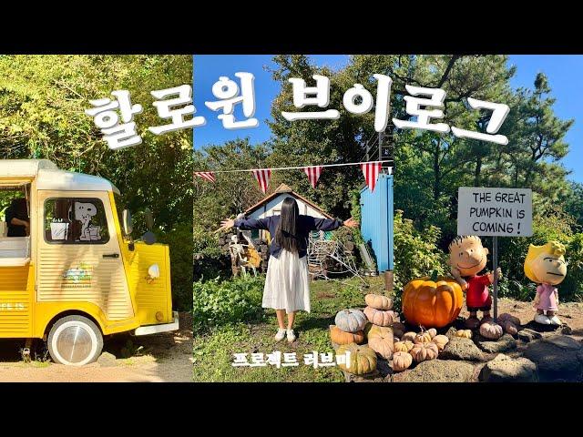 Halloween vlog | Home Decoration | Halloween Food | Picnic | Halloween Night Market | Snoopy Garden