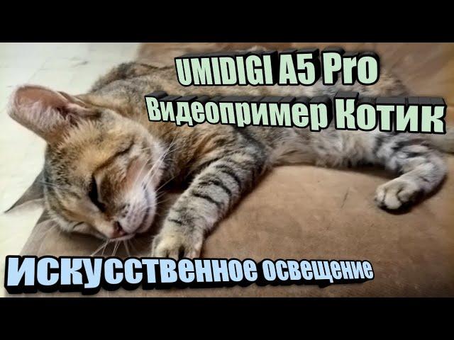 Кошакен Видео пример снят на UMIDIGI A5 PRO Android 9,0 Глобалка