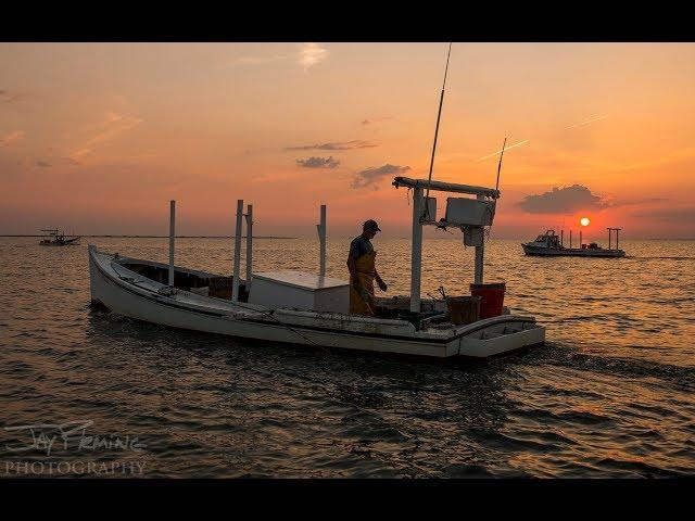 Photographer Jay Fleming Captures the Island Life