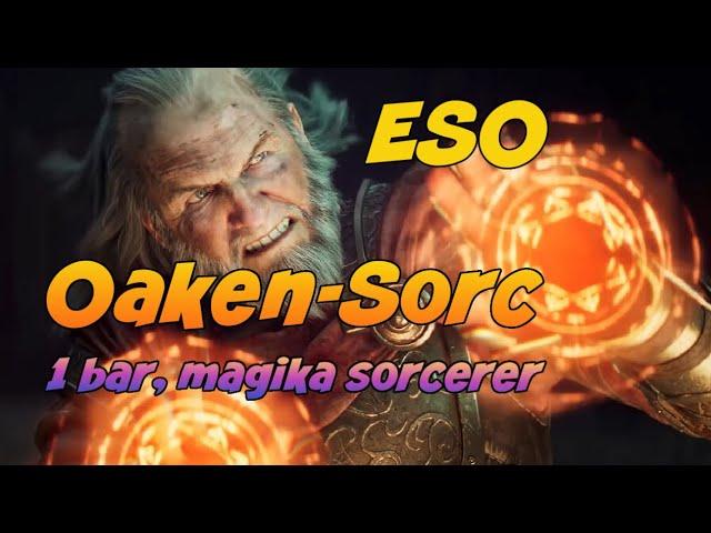 Oakensoul Ring Magika Sorcerer build. So easy to play!