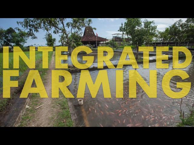 Concept Agriculture Integrated Farming