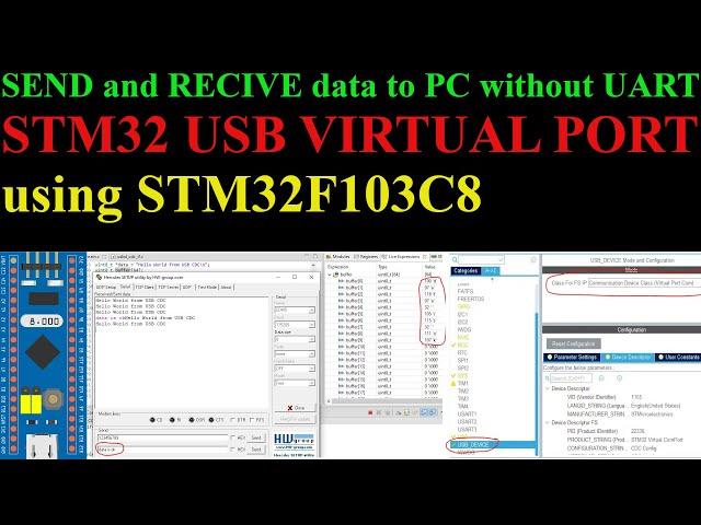 STM32 Send and Receive Data to PC without UART || USB COM PORT || Bluepill