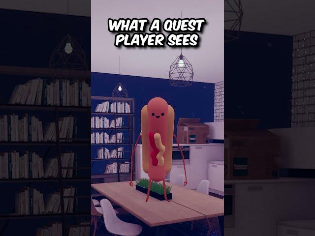 VRChat: What they see (Quest VS PC)