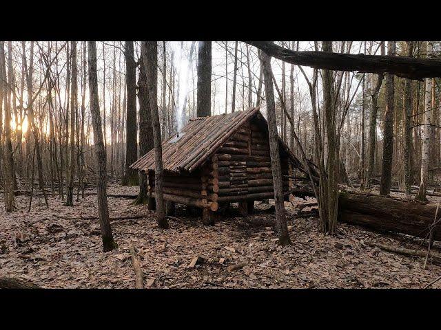 building a bushcraft log cabin alone in the forest