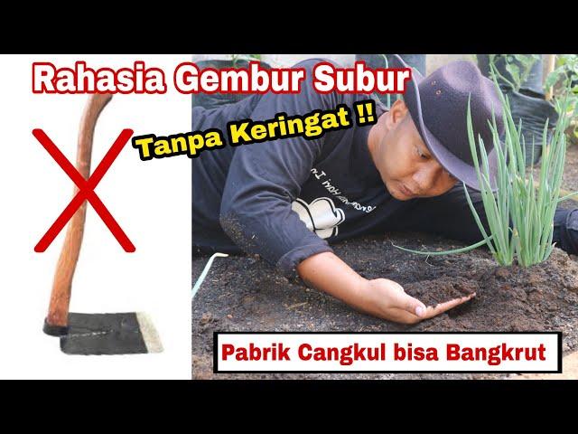 Lupakan CANGKUL ‼ pakai cara SINGKAT ini untuk Gemburkan Tanah