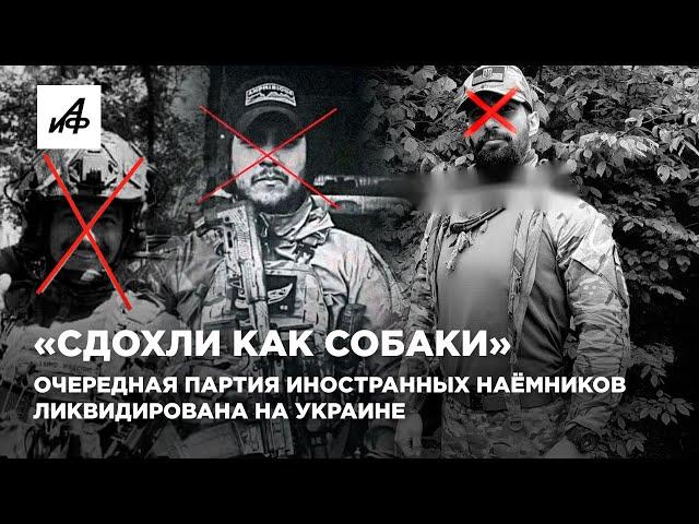 «Сдохли как собаки». Очередная партия иностранных наёмников ликвидирована на Украине