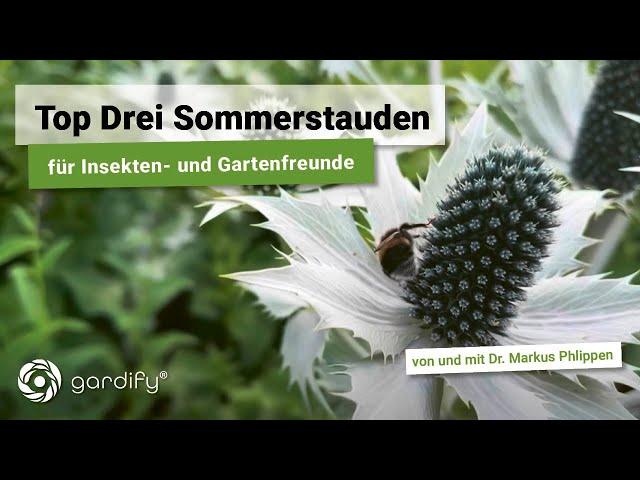 Die Top Drei Sommerstauden für Insekten- und Gartenfreunde von Maria Palusalu aus Estland.