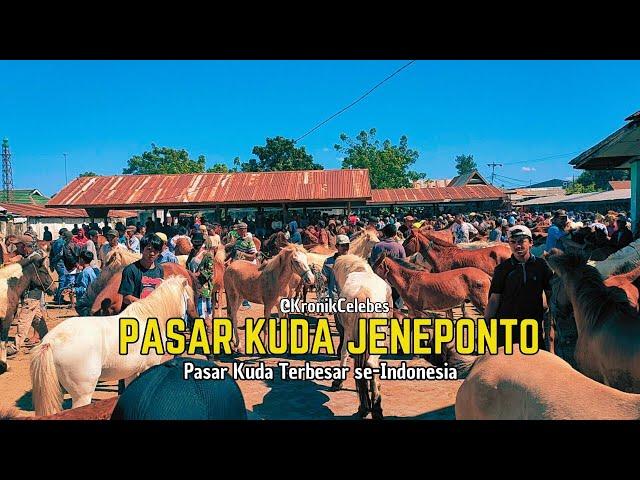 PASAR KUDA TOLO' JENEPONTO | pasar kuda terbesar se indonesia | harga 6 juta sampai 30 juta rupiah