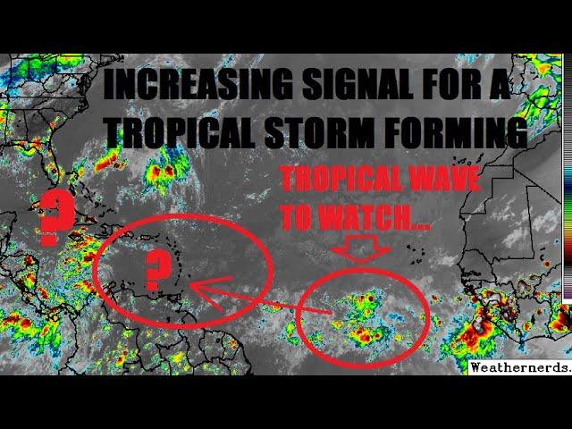 Tropical storm Beryl increasingly likely to form. Strong model support! Latest information..