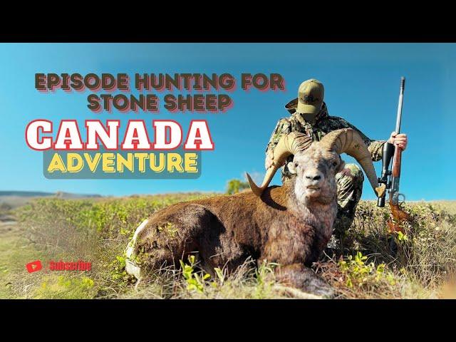 Canada Adventure Part 3 Episode Hunting for Stone Sheep