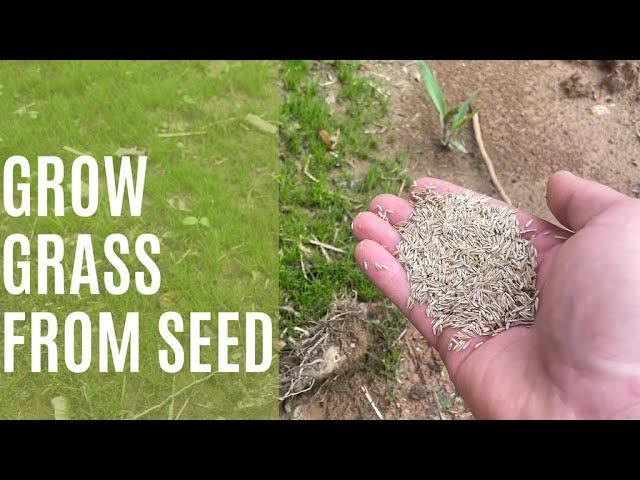 Seeding GRASS with SUCCESS