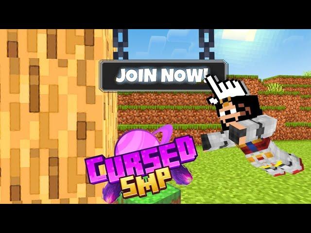 My Application for CursedSmp @Zombiedy-xD #applicationforcursedsmp #notatris #cursedsmp